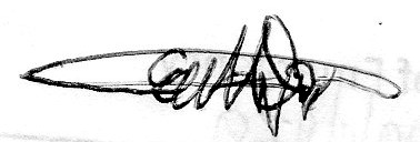 Signature Preview